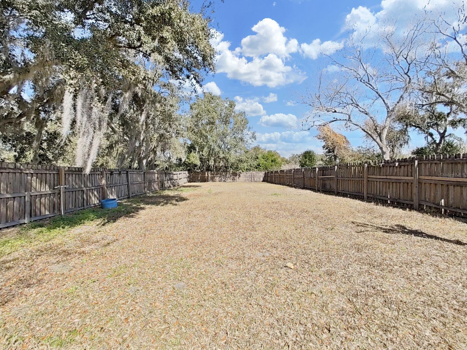 CHESTNUT FOREST - Residential
