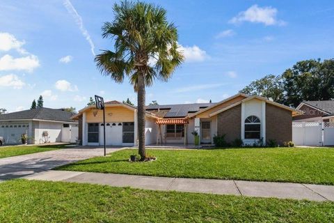 A home in ORLANDO