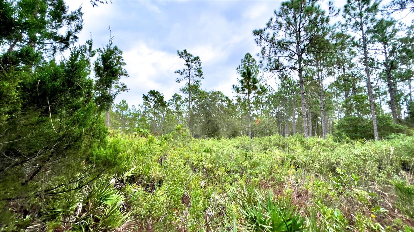 Ashby Cove Estates Unrec - Land