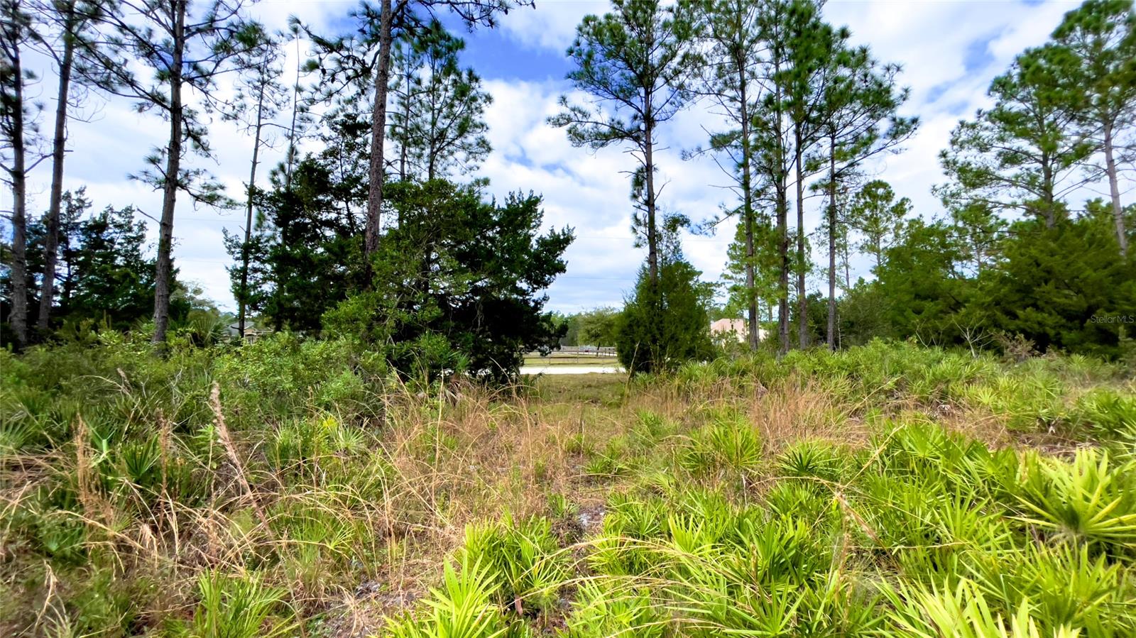 Ashby Cove Estates Unrec - Land