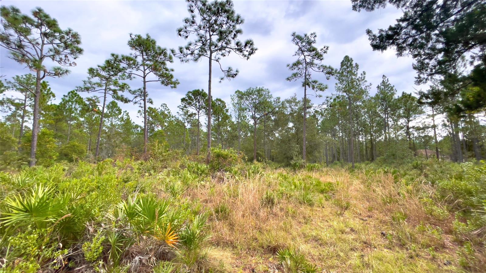 Ashby Cove Estates Unrec - Land