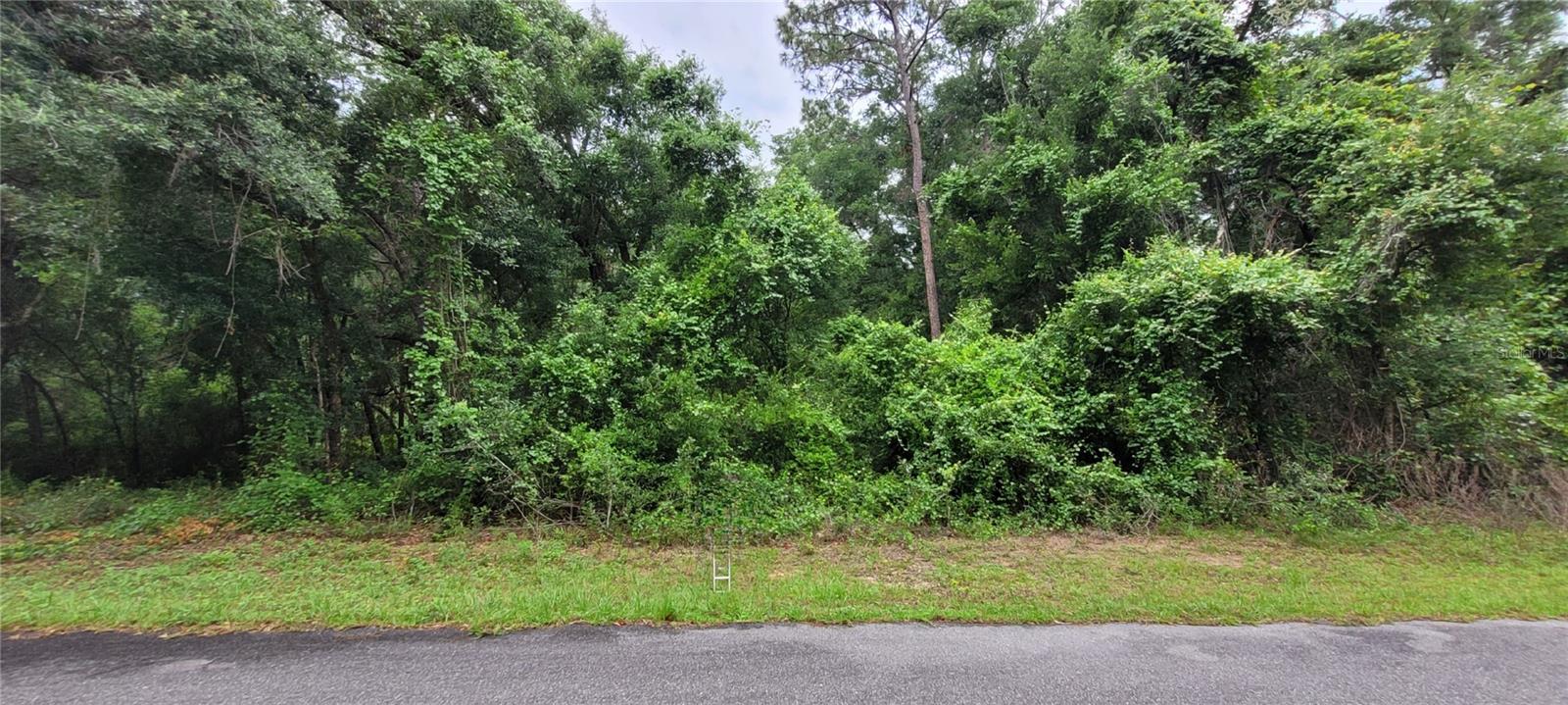 This .46 acre of land is in a tranquil community blended with residential and undeveloped land. You get a peaceful friendly vibe. You're minutes away from Rainbow Springs where you can take a dip in the water, walk, canoe, picnic with family and friends or go hike in the Withlacochee River State Trail. It's popular for fishing too! The shopping centers, hospital, and schools are nearby. Look no further and come build your dream home here!
