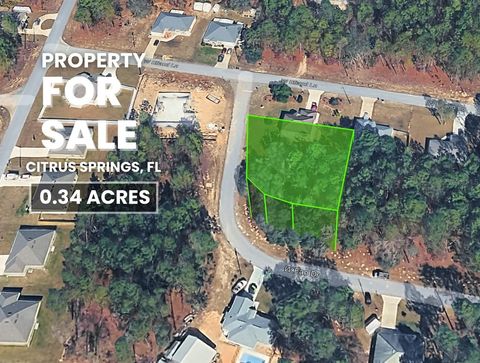 Photo of 1263 W Fan Drive, Citrus Springs, FL 34434 (MLS # TB8462541)