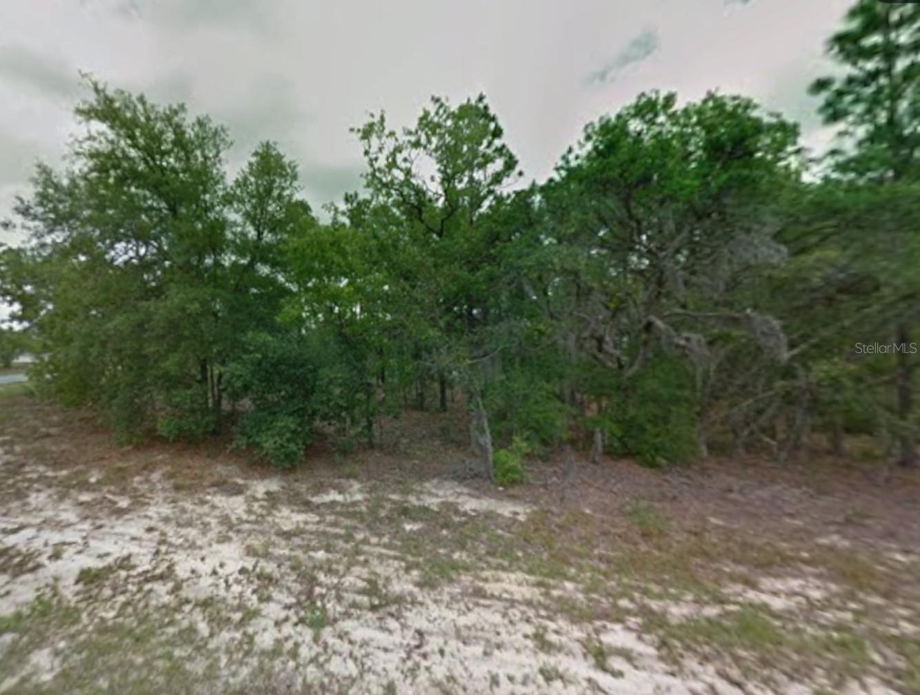 CITRUS SPGS UNIT 13 - Land