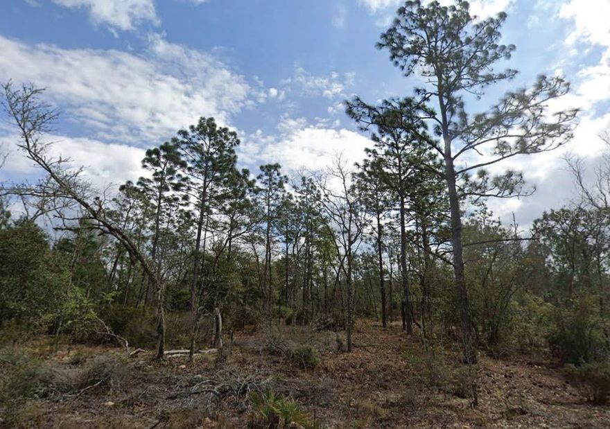 Wooded residential lot located in the quiet Mariners Lake Hills community of Interlachen.  The parcel is conveniently located near County Road 315, providing easy access to local amenities while maintaining a peaceful, small-town environment. A great opportunity to invest in affordable land in Putnam County. All information is deemed reliable but should be independently verified.