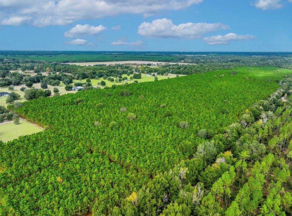 NOTTINGHAM FARMS - Land