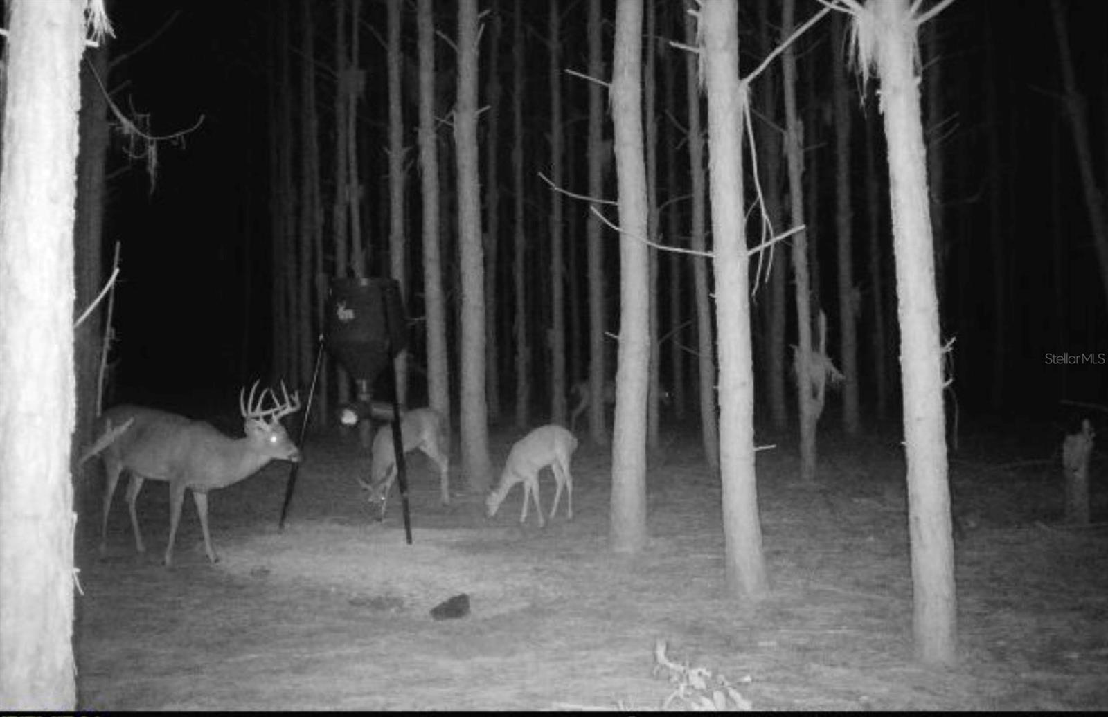 NOTTINGHAM FARMS - Land