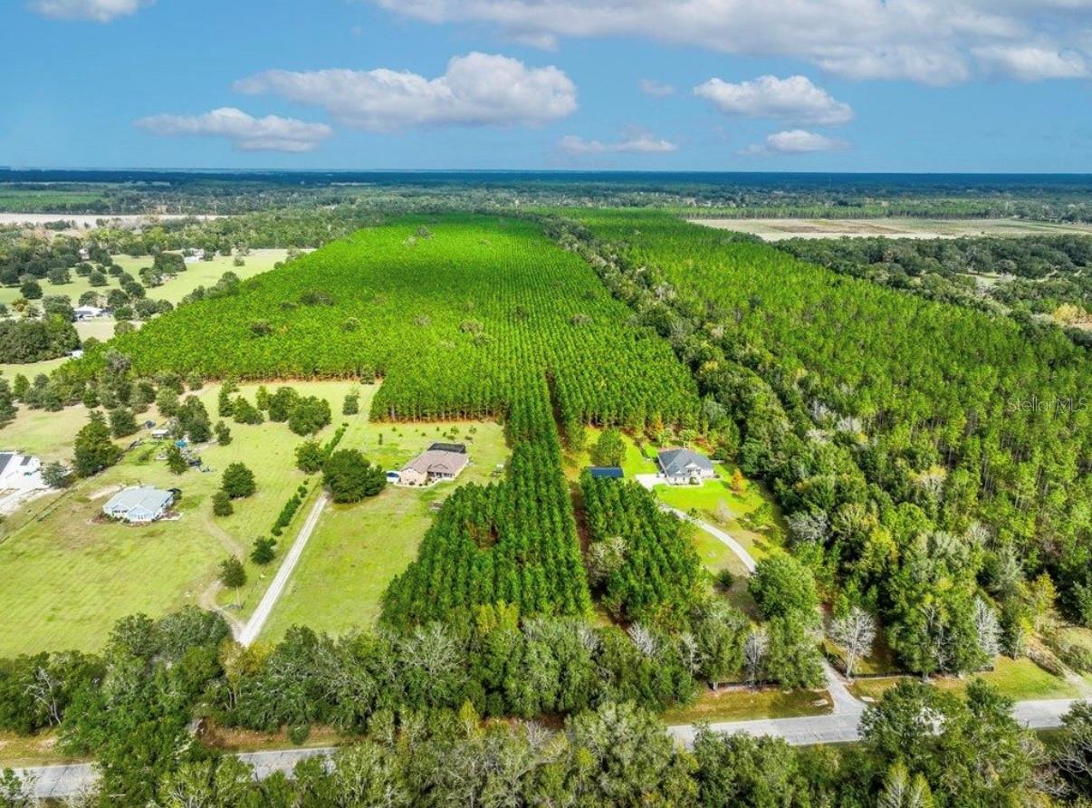 NOTTINGHAM FARMS - Land