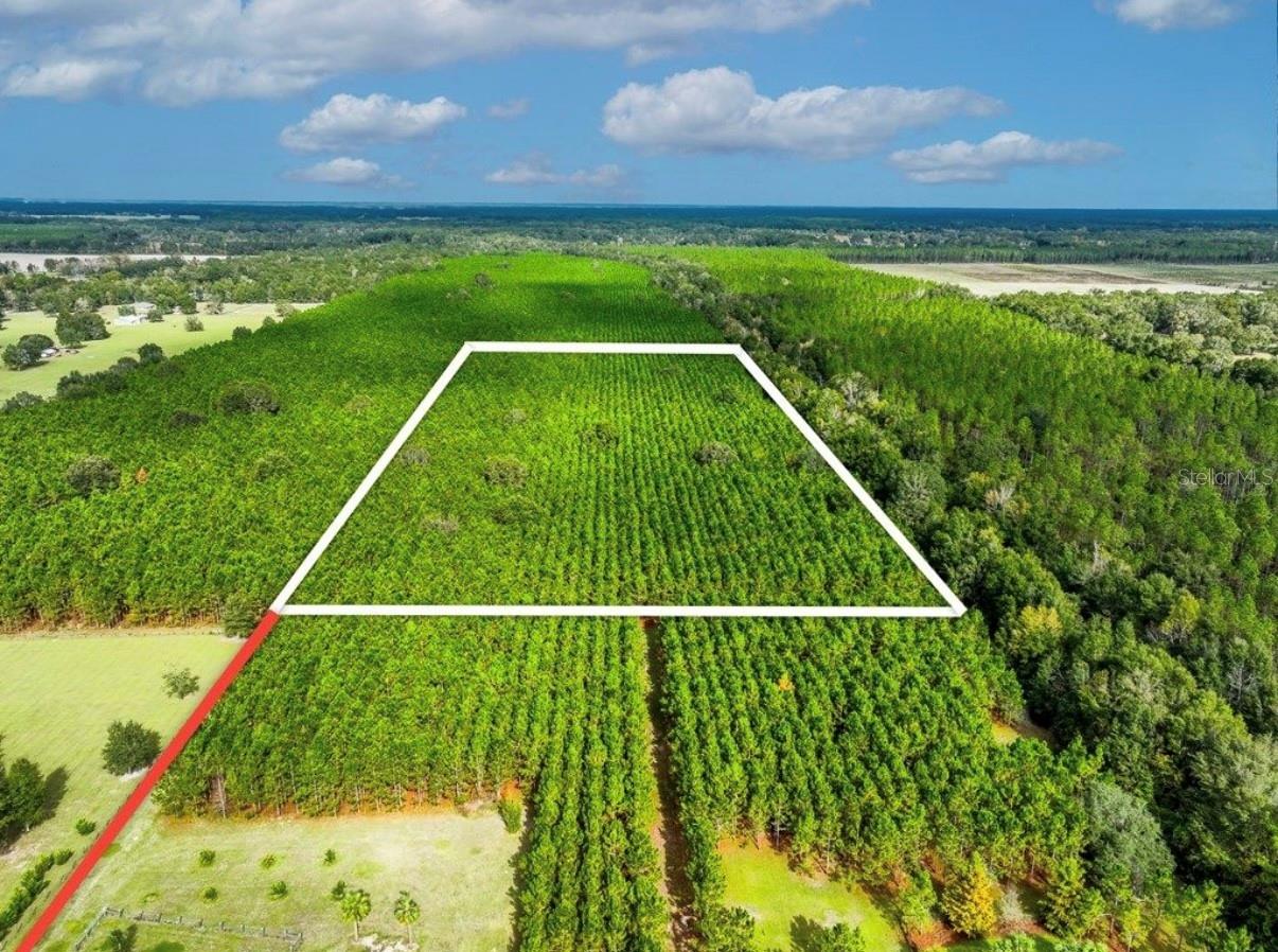 NOTTINGHAM FARMS - Land