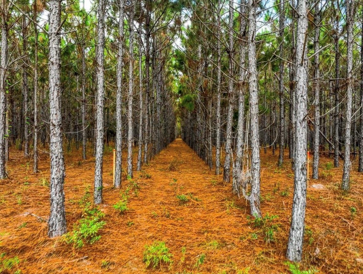 NOTTINGHAM FARMS - Land