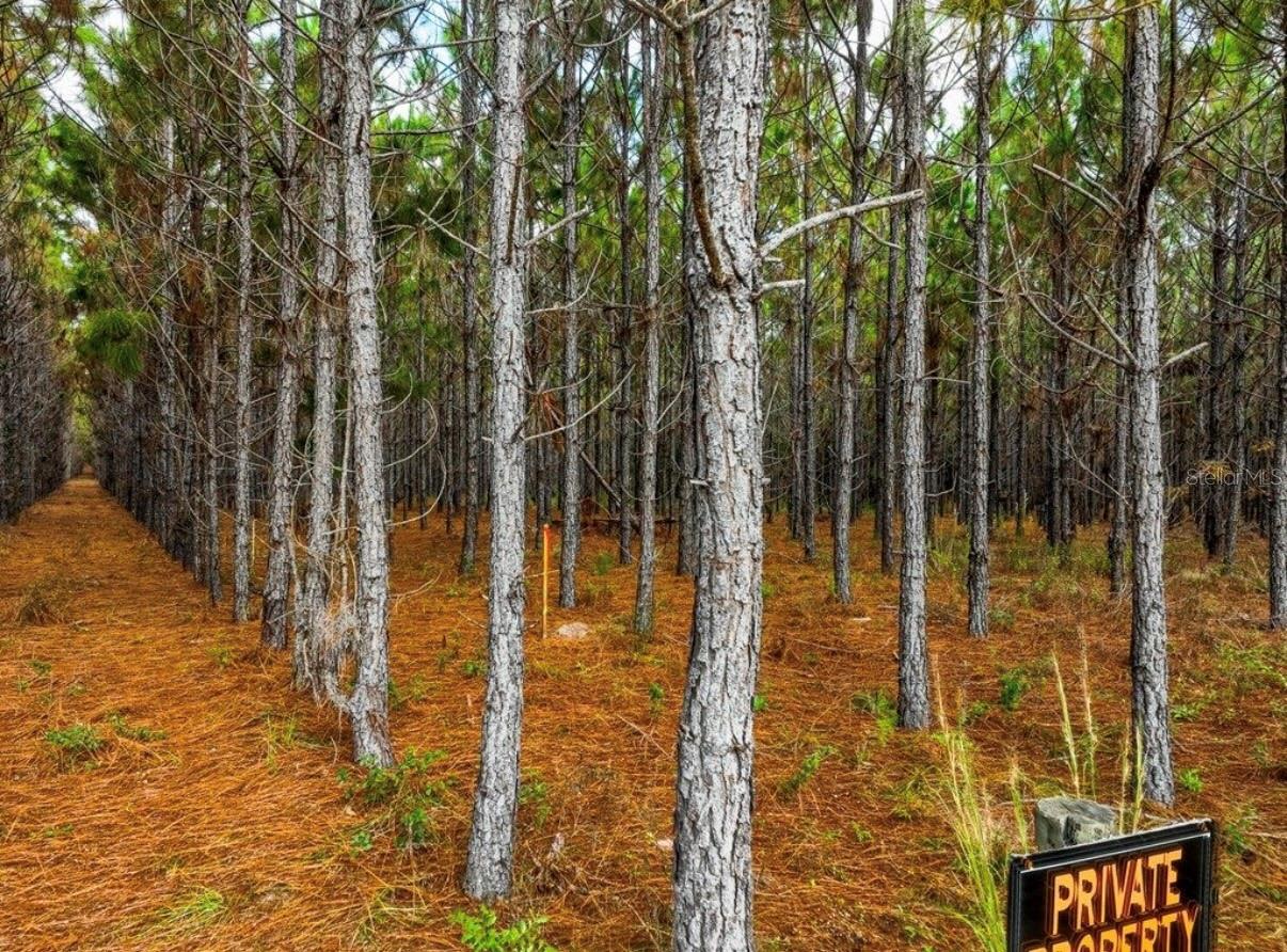 NOTTINGHAM FARMS - Land