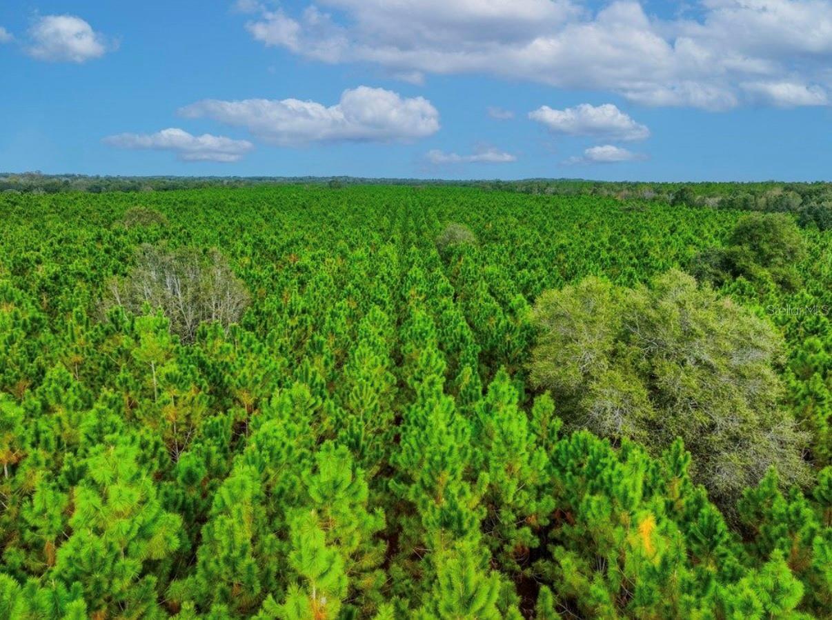 NOTTINGHAM FARMS - Land