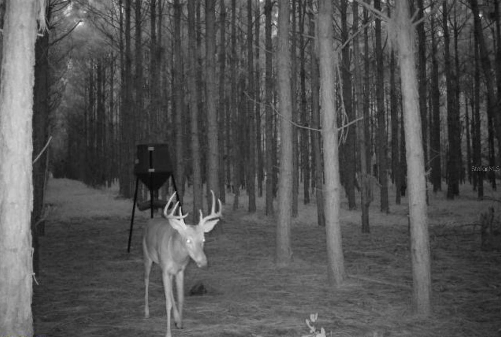 NOTTINGHAM FARMS - Land