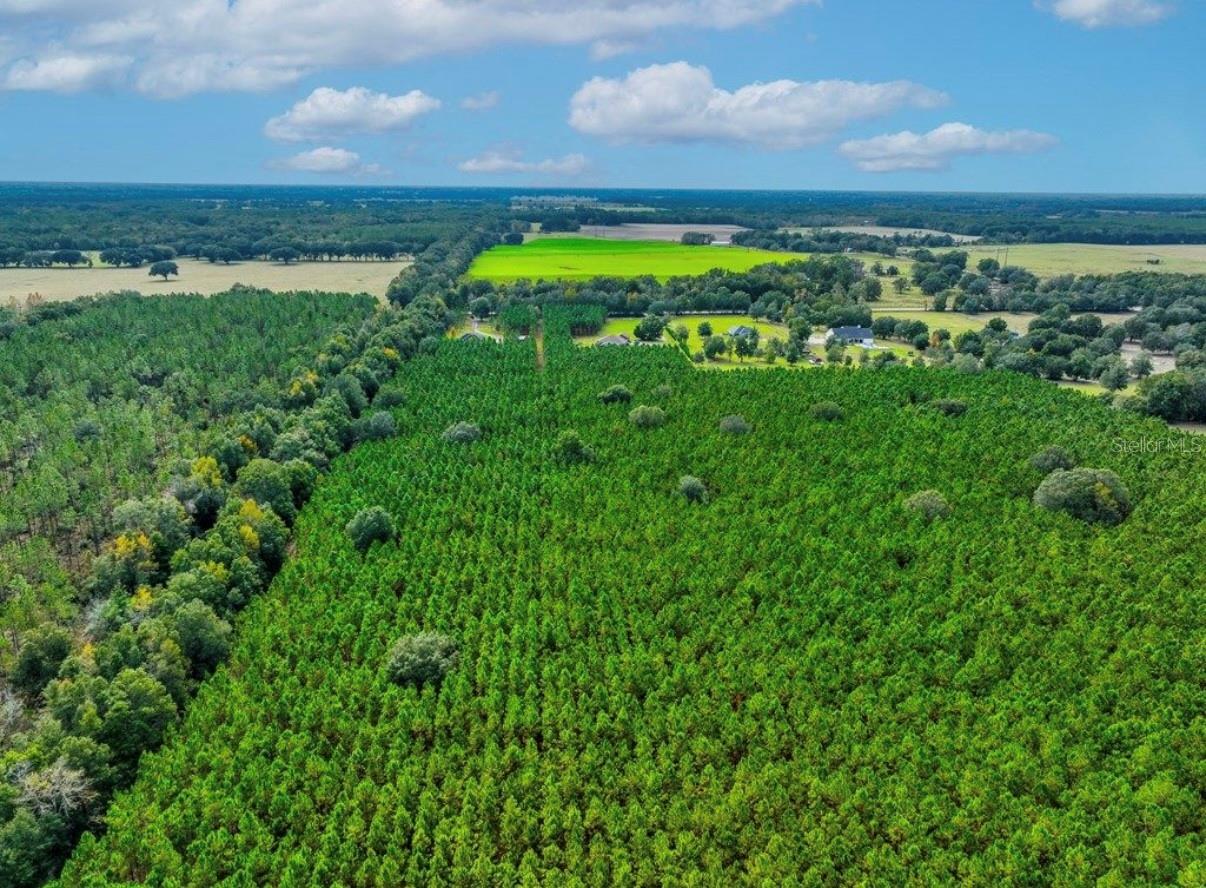 NOTTINGHAM FARMS - Land