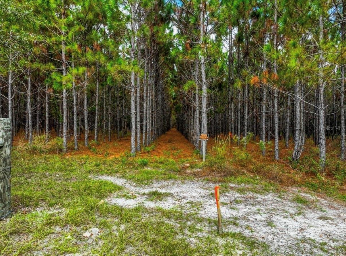 NOTTINGHAM FARMS - Land