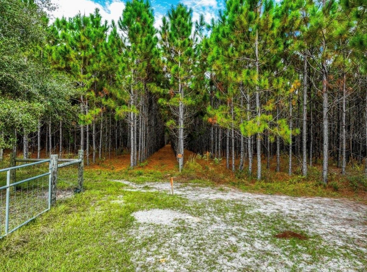 NOTTINGHAM FARMS - Land