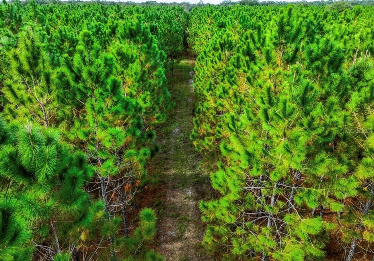 NOTTINGHAM FARMS - Land