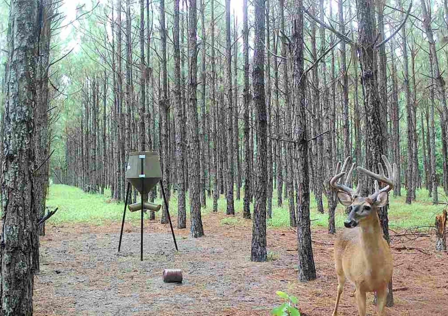 NOTTINGHAM FARMS - Land