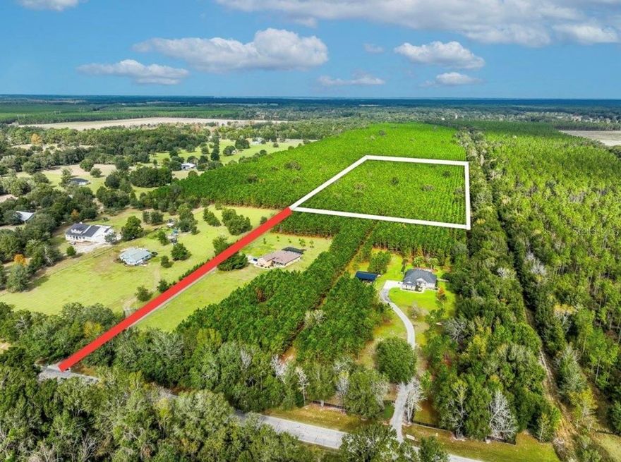 This location is a perfect lot to build your dream home on and/or great income investment, with abundance of wildlife.

Nestled in the peaceful landscape of western Alachua County, this exceptional 12.7-acre parcel offers a compelling mix of natural beauty and long-term investment value. Ideally located between the lively communities of High Springs and Newberry, the property captures the essence of North Florida living—quiet, scenic, and convenient.

A full stand of thriving 12-year-old Improved Slash Pine covers the land, creating a picturesque setting while generating reliable income through a pine straw contract. With an average quantity of roughly 350 bales an acre each year and an annual income of around $2,000, the property also qualifies for an agricultural exemption, further enhancing its financial appeal.

Beyond its income-producing features, this parcel holds excellent potential as a future homesite. Majestic live oaks add character and charm, while a titled easement provides direct access to County Road 232, and a half mile from 27/41, making the property both accessible and attractive for those seeking a peaceful rural retreat.

Located just five minutes from both Newberry and High Springs, residents can enjoy an impressive array of nearby amenities. Newberry features destinations such as the Easton Sports Complex, the Alachua County Ag and Equestrian Center, a variety of upscale dining options, Publix supermarket and a soon to be Wawa. High Springs offers its own appeal with antique shops, diverse restaurants, and a vibrant nightlife scene. Gainesville is less than 15 miles away, providing access to three major hospitals, extensive shopping, and the University of Florida. Just a short 20 minute drive to the University of Florida, Shand's Hospital, VA Hospital, I-75 and North Florida Hospital.

Outdoor enthusiasts will appreciate the close proximity to the Santa Fe River—only 10 minutes away—and numerous freshwater springs including Poe Springs and Ginnie Springs. Within a 20-mile radius are 10 County and State Parks, offering endless opportunities for fishing, swimming, tubing, hiking, and kayaking.

What truly stands out about this parcel is its seamless balance of natural beauty, practicality, and possibility. With income-generating capabilities, convenient access to thriving nearby communities, abundant outdoor recreation, and the promise of a future homesite, this land is a rare and captivating gem in the heart of North Florida.

Information can be obtained or confirmed by calling Alachua County Zoning. Call us for your personal tour!