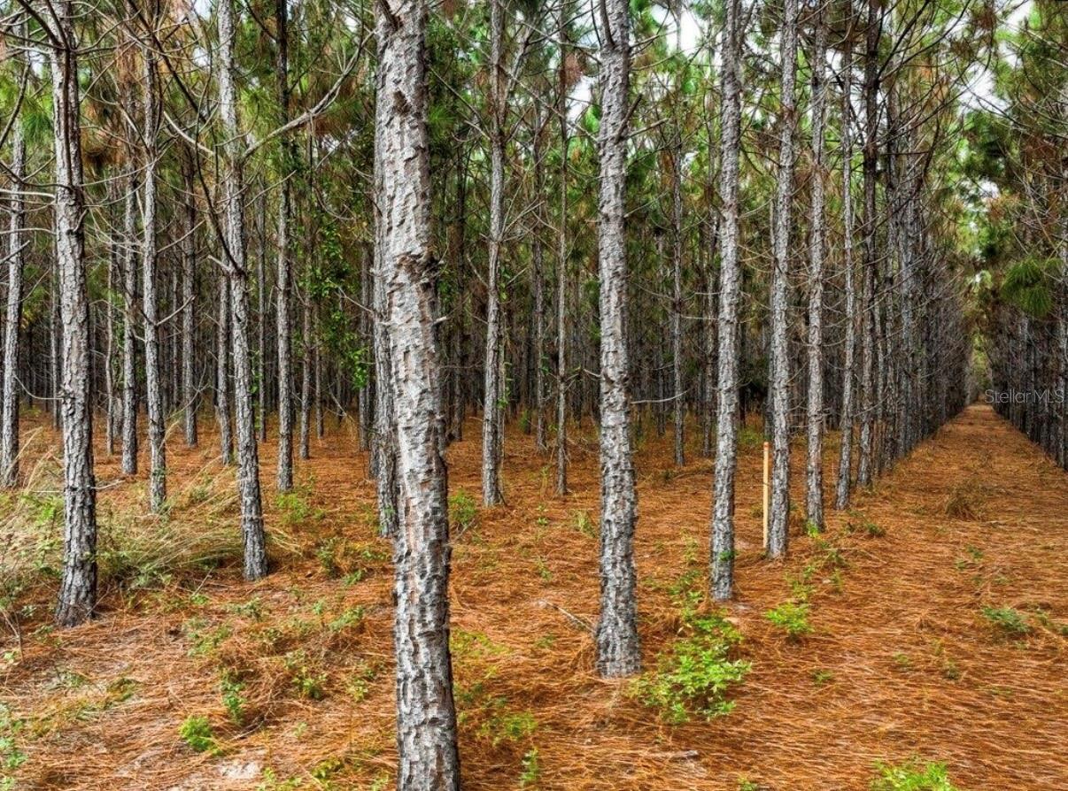 NOTTINGHAM FARMS - Land