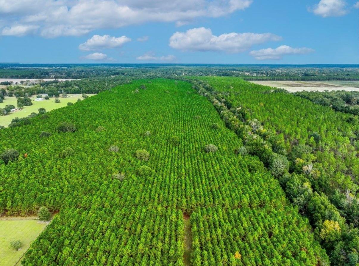 NOTTINGHAM FARMS - Land