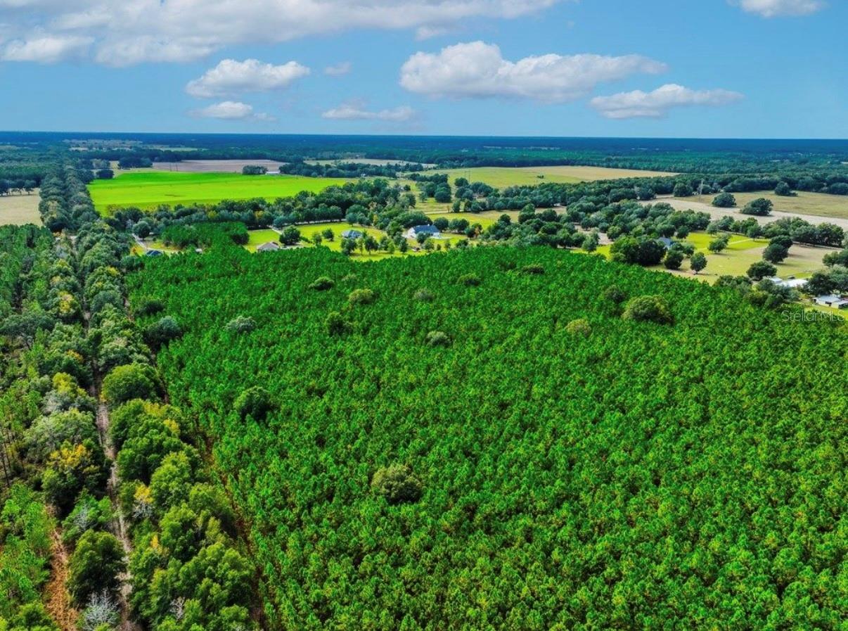 NOTTINGHAM FARMS - Land