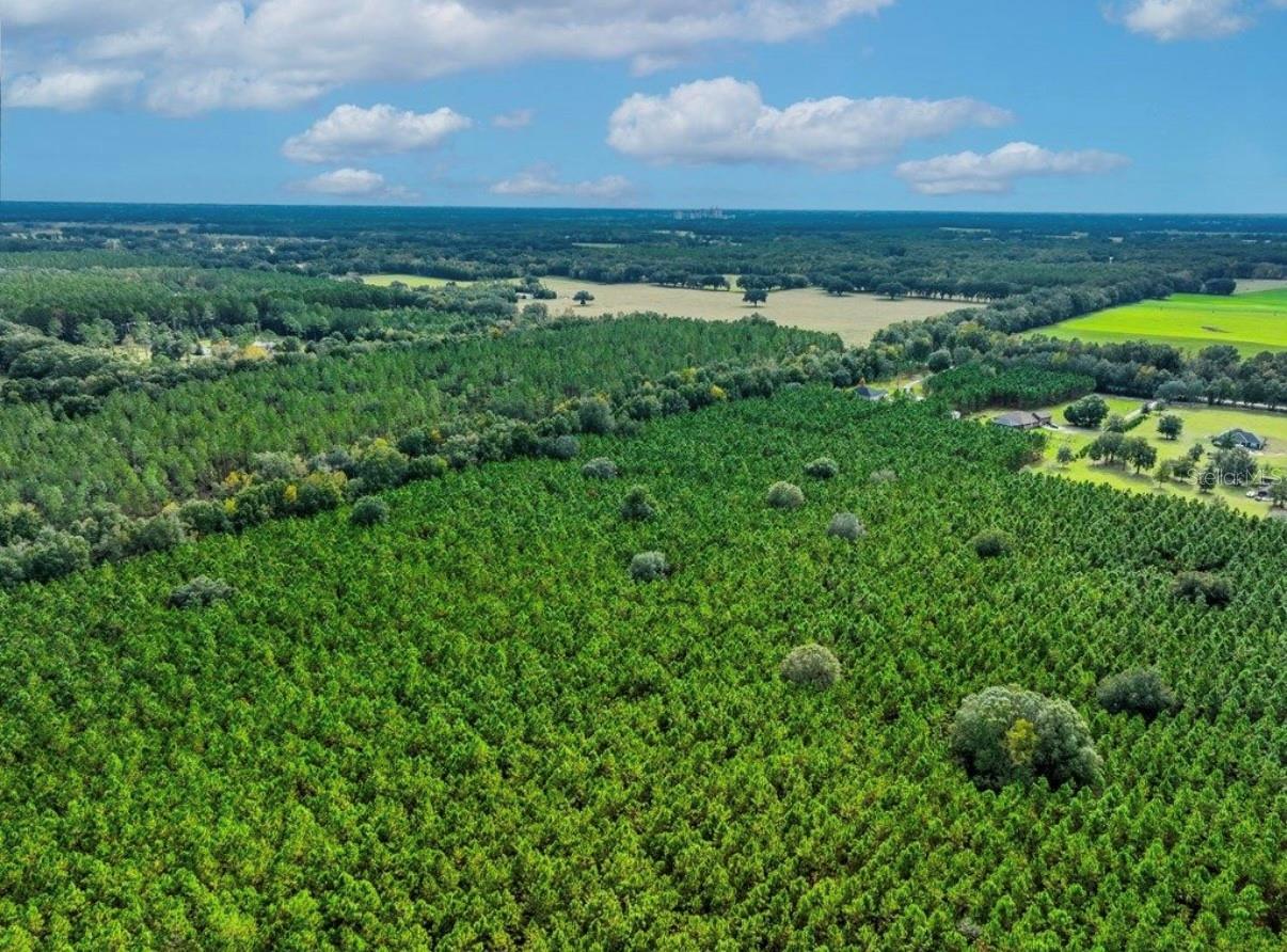 NOTTINGHAM FARMS - Land