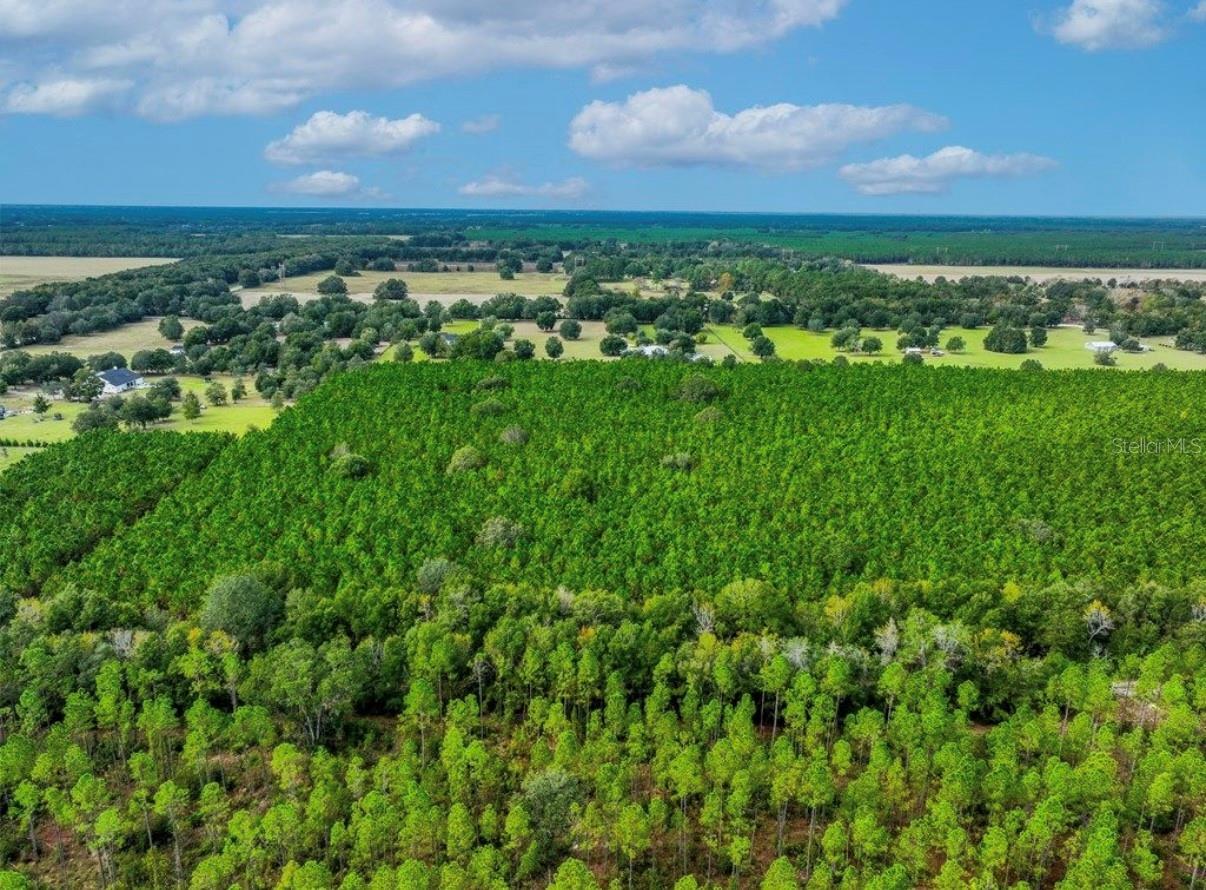 NOTTINGHAM FARMS - Land