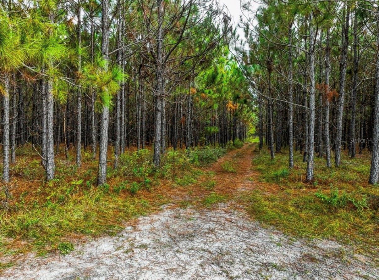 NOTTINGHAM FARMS - Land