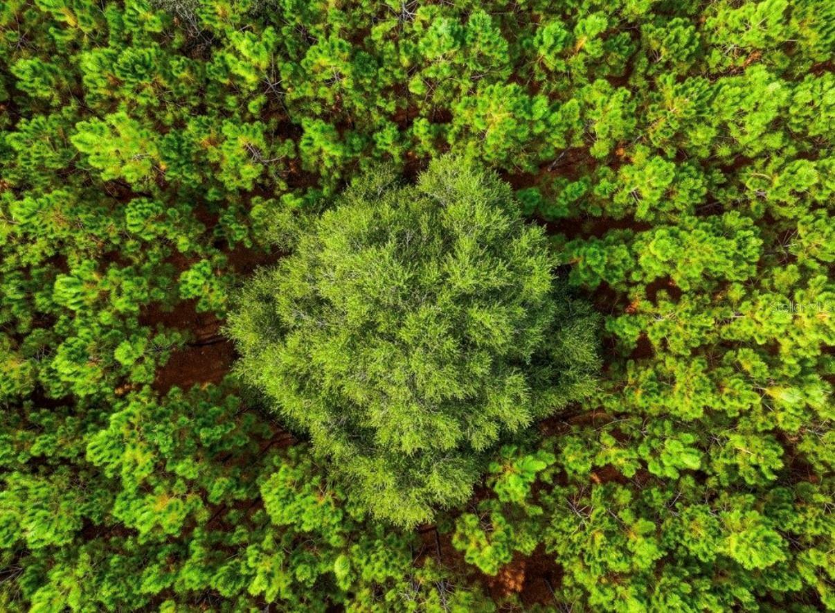 NOTTINGHAM FARMS - Land