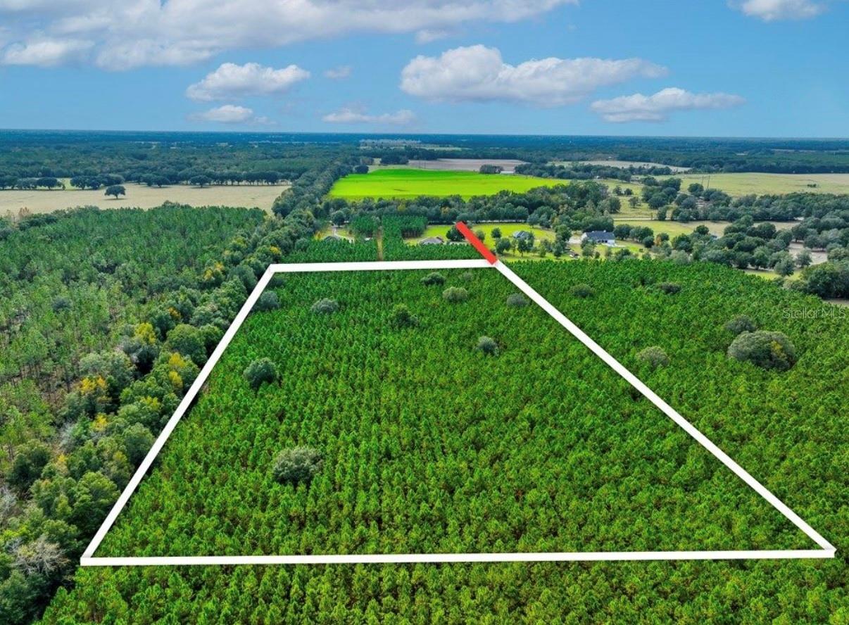 NOTTINGHAM FARMS - Land