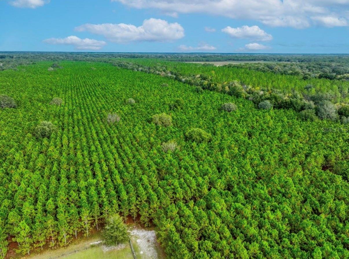 NOTTINGHAM FARMS - Land