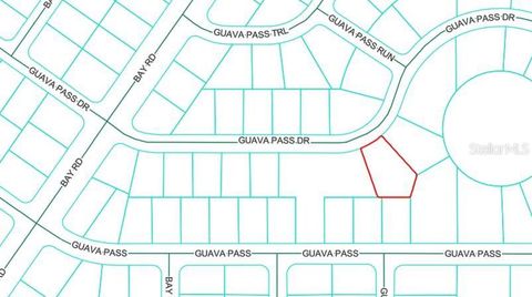 Lot 26 GUAVA PASS DRIVE OCKLAWAHA FL 32179