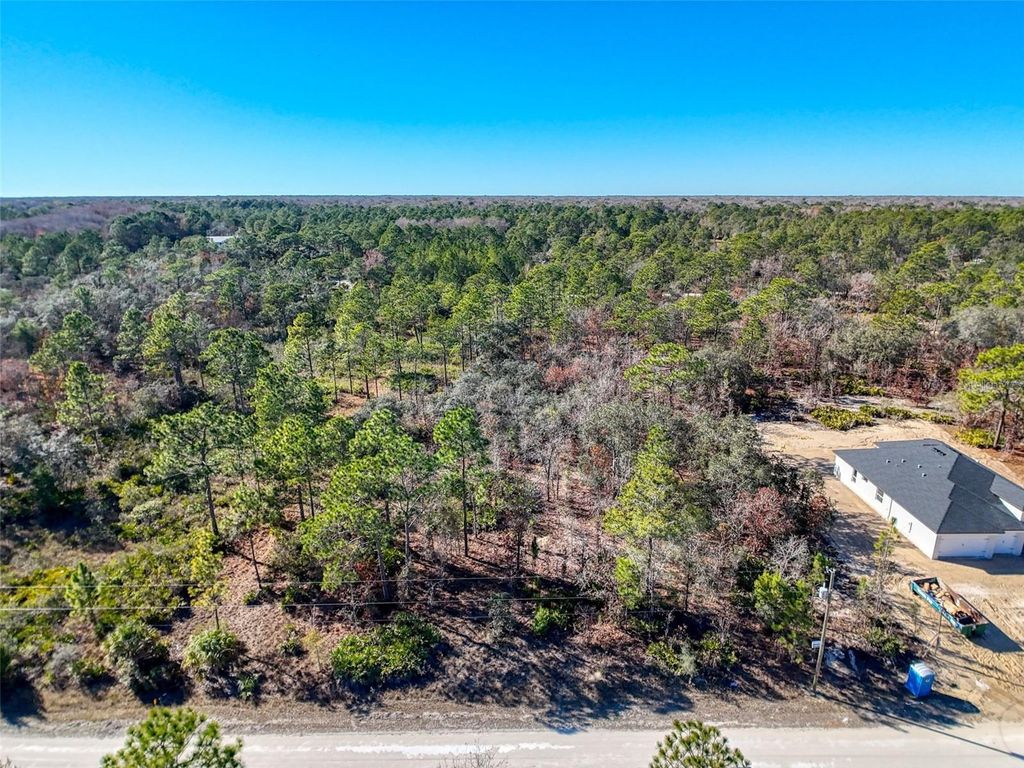 Photo of 18079 Ramsey Road, Weeki Wachee, FL 34614 (MLS # C7519462)