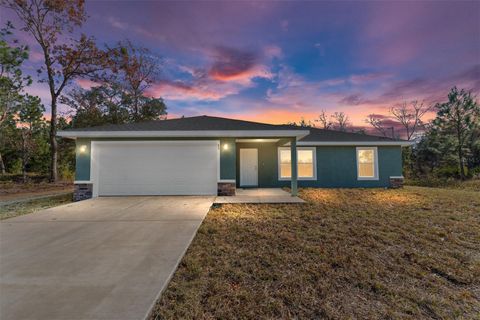 A home in OCKLAWAHA