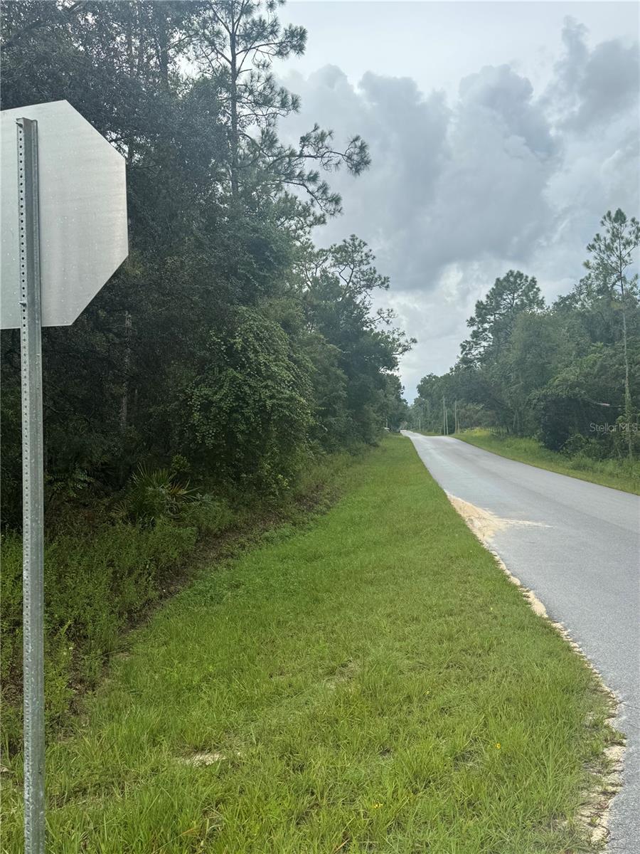 RIDGE MANOR ESTATE - Land