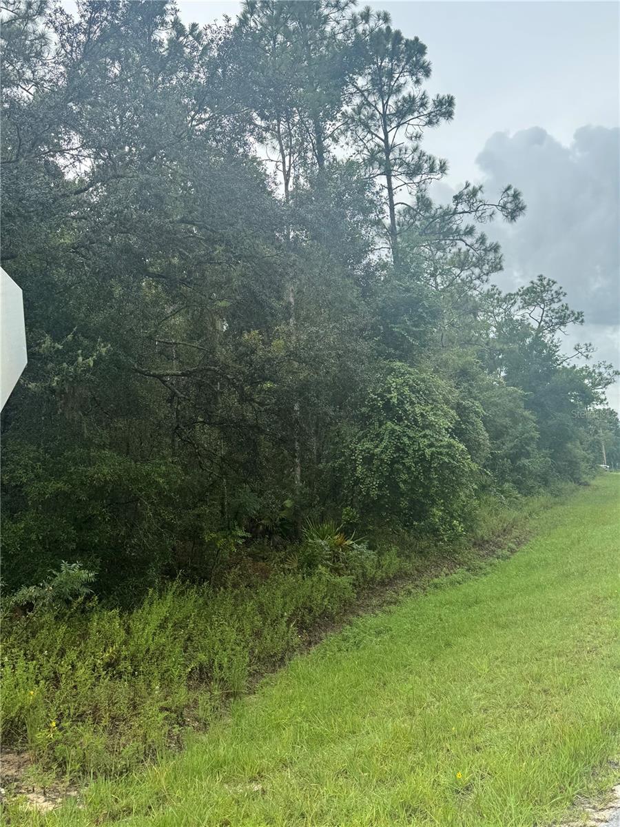 RIDGE MANOR ESTATE - Land