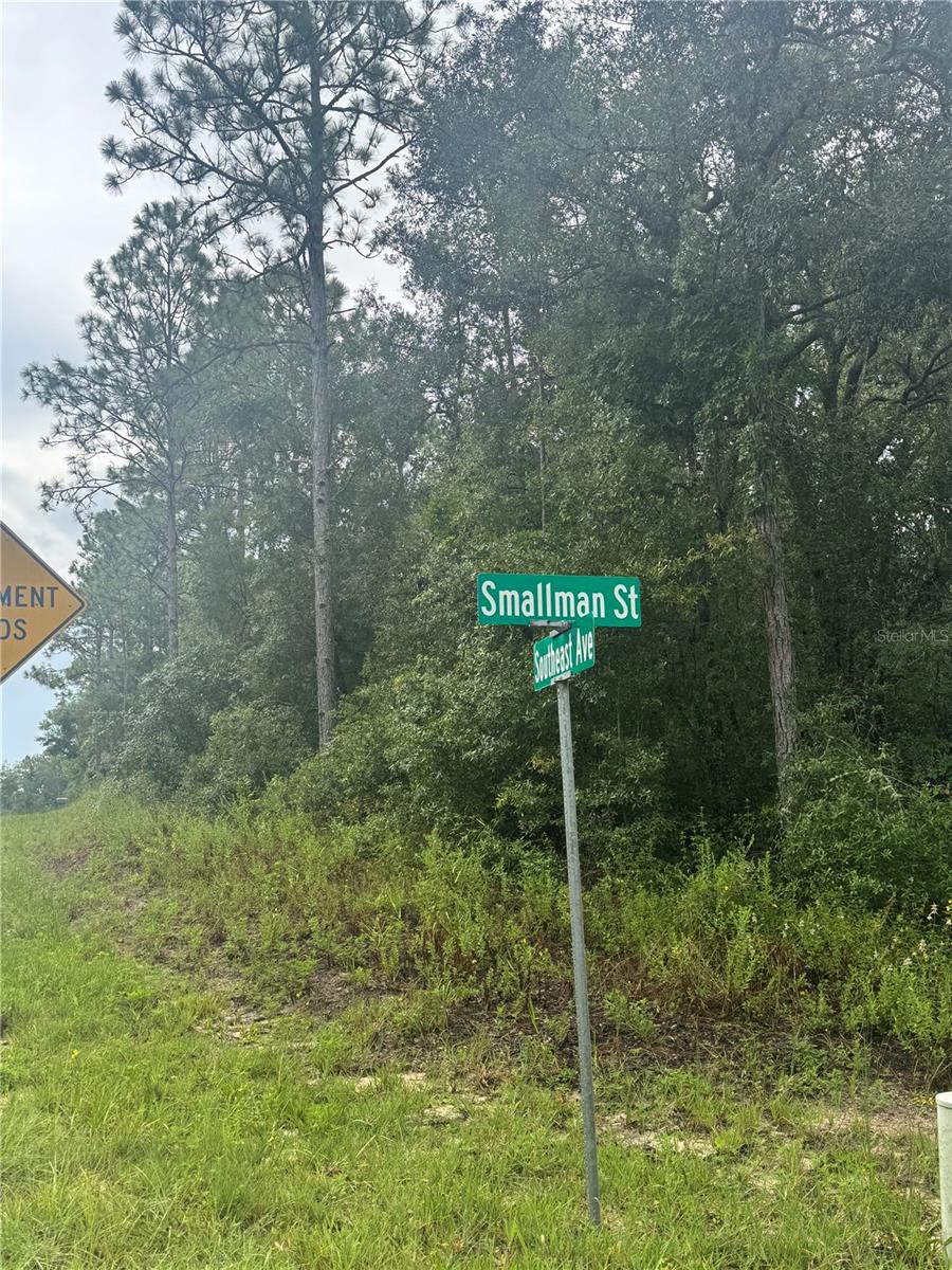 RIDGE MANOR ESTATE - Land