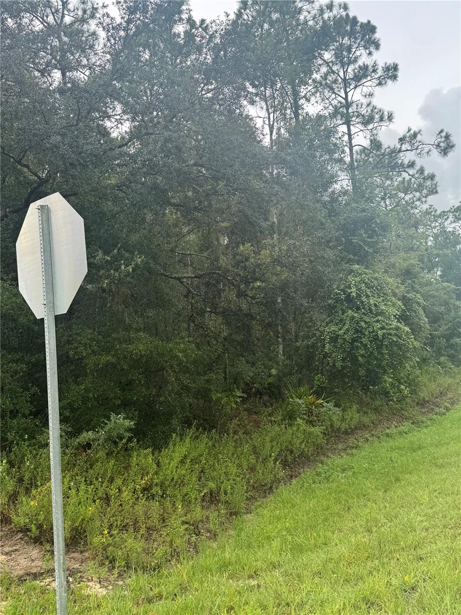 RIDGE MANOR ESTATE - Land