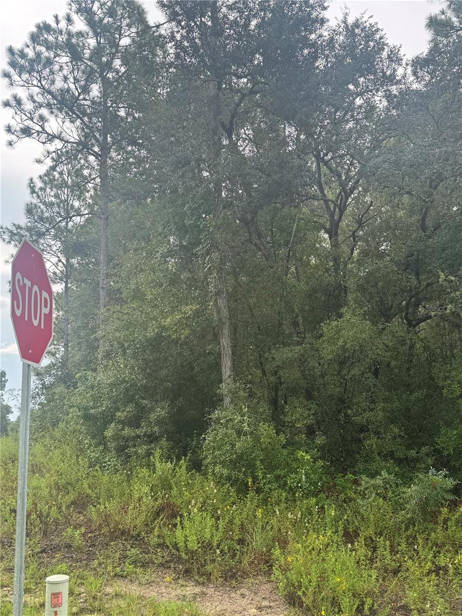 RIDGE MANOR ESTATE - Land