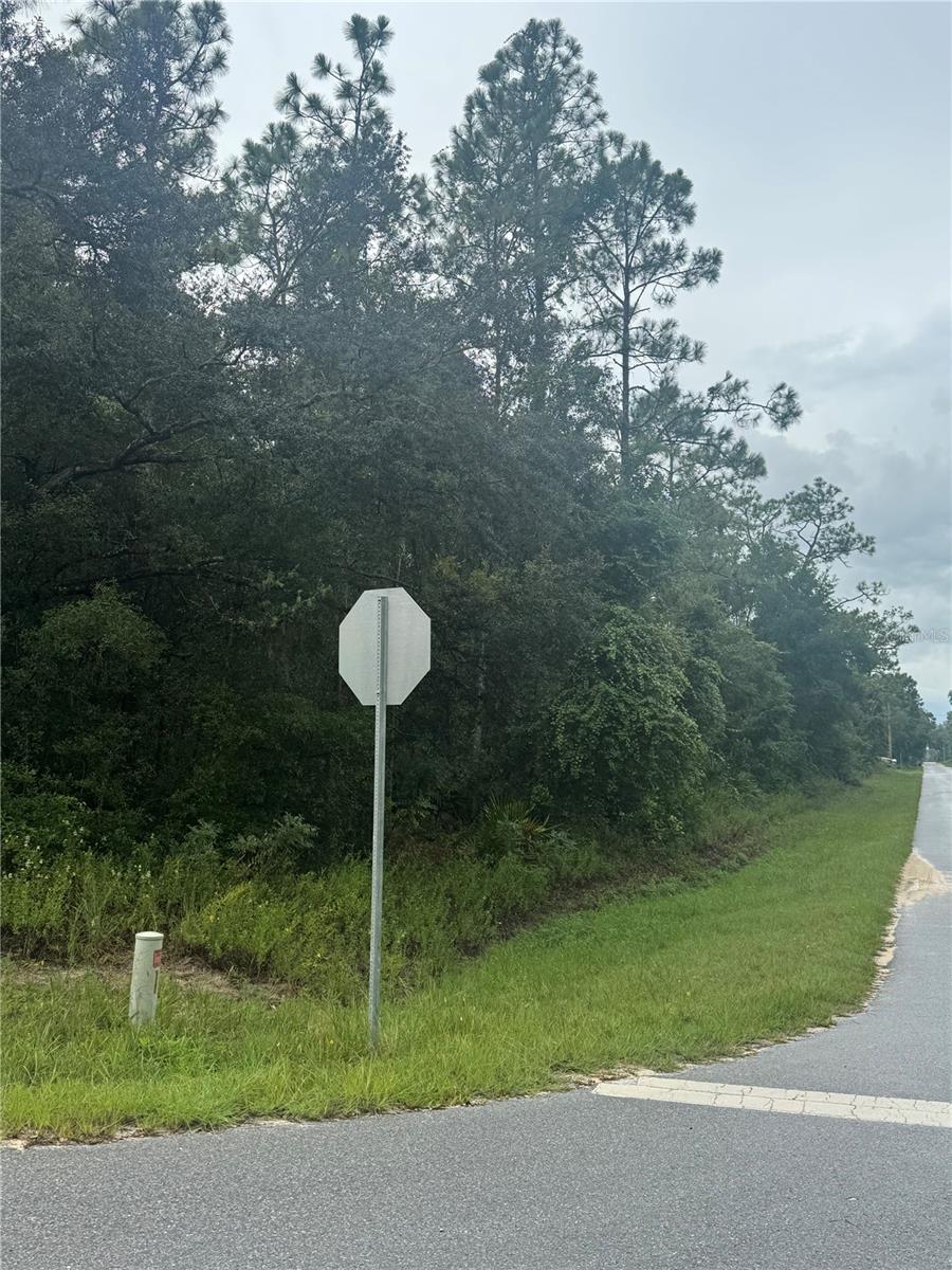 RIDGE MANOR ESTATE - Land