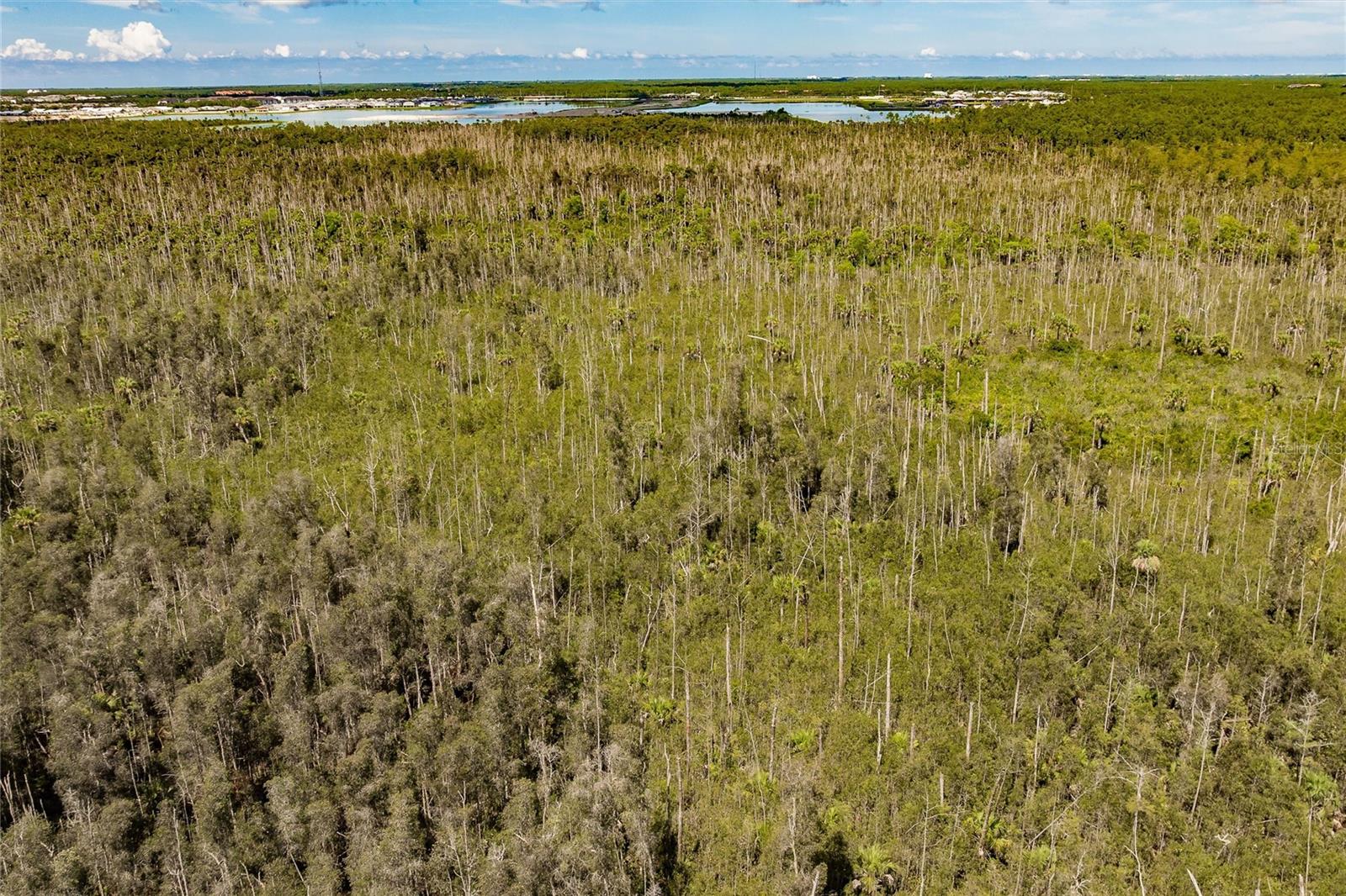 ACREAGE HEADER - Land