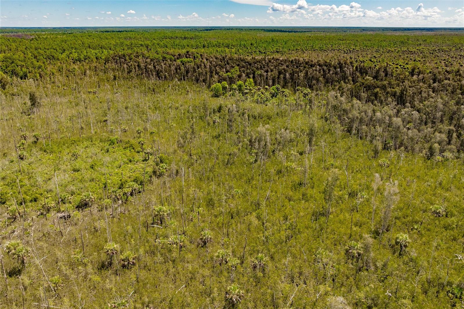 ACREAGE HEADER - Land