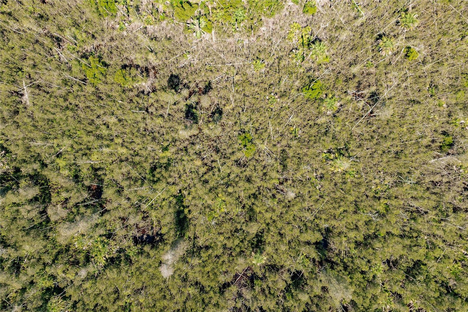 ACREAGE HEADER - Land