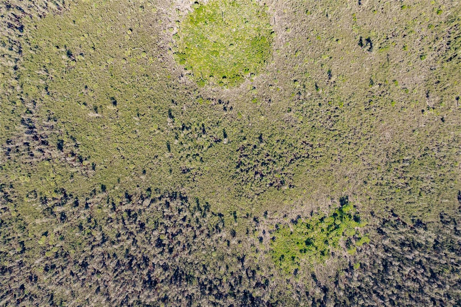 ACREAGE HEADER - Land