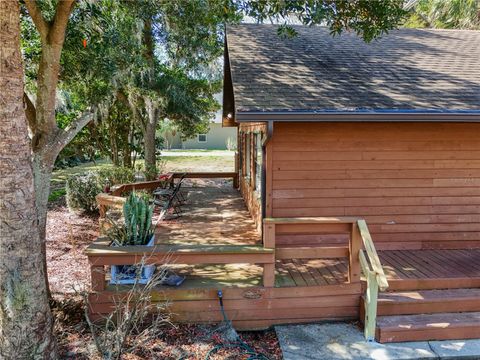 A home in MOUNT DORA