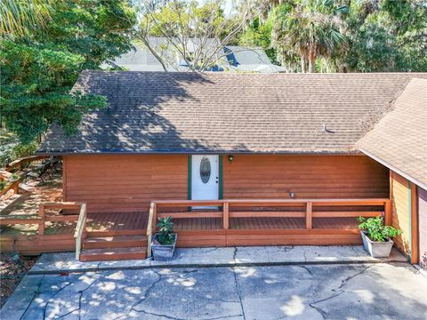 A home in MOUNT DORA