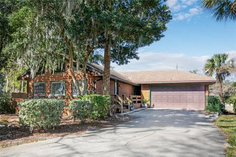 A home in MOUNT DORA