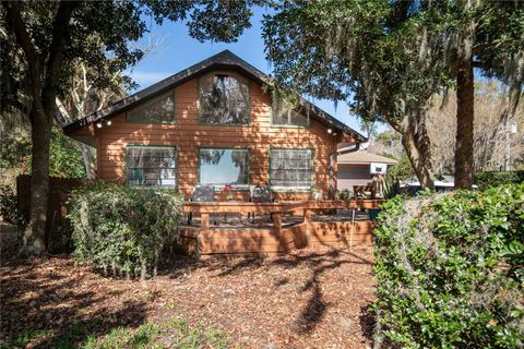 A home in MOUNT DORA