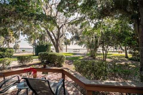 A home in MOUNT DORA